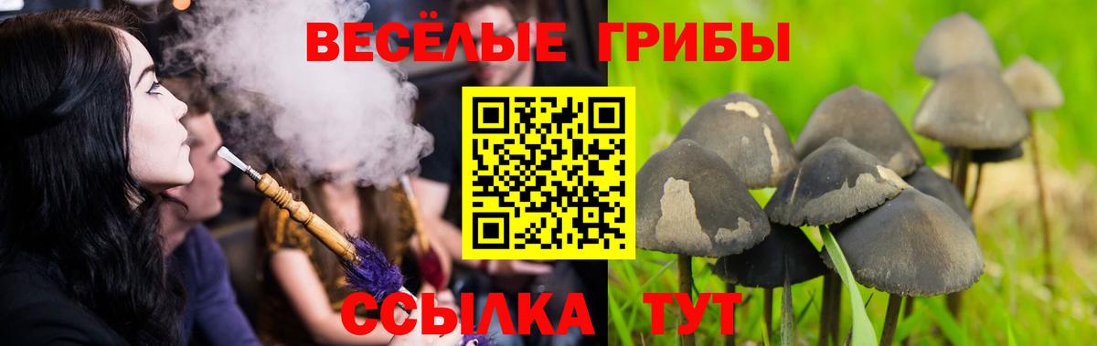 Калуга  Псилоцибиновые грибы GOLDEN TEACHER  Вход с VPN 